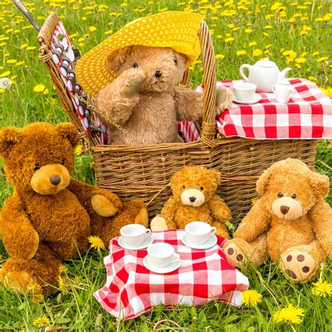 Teddy bears having picnic